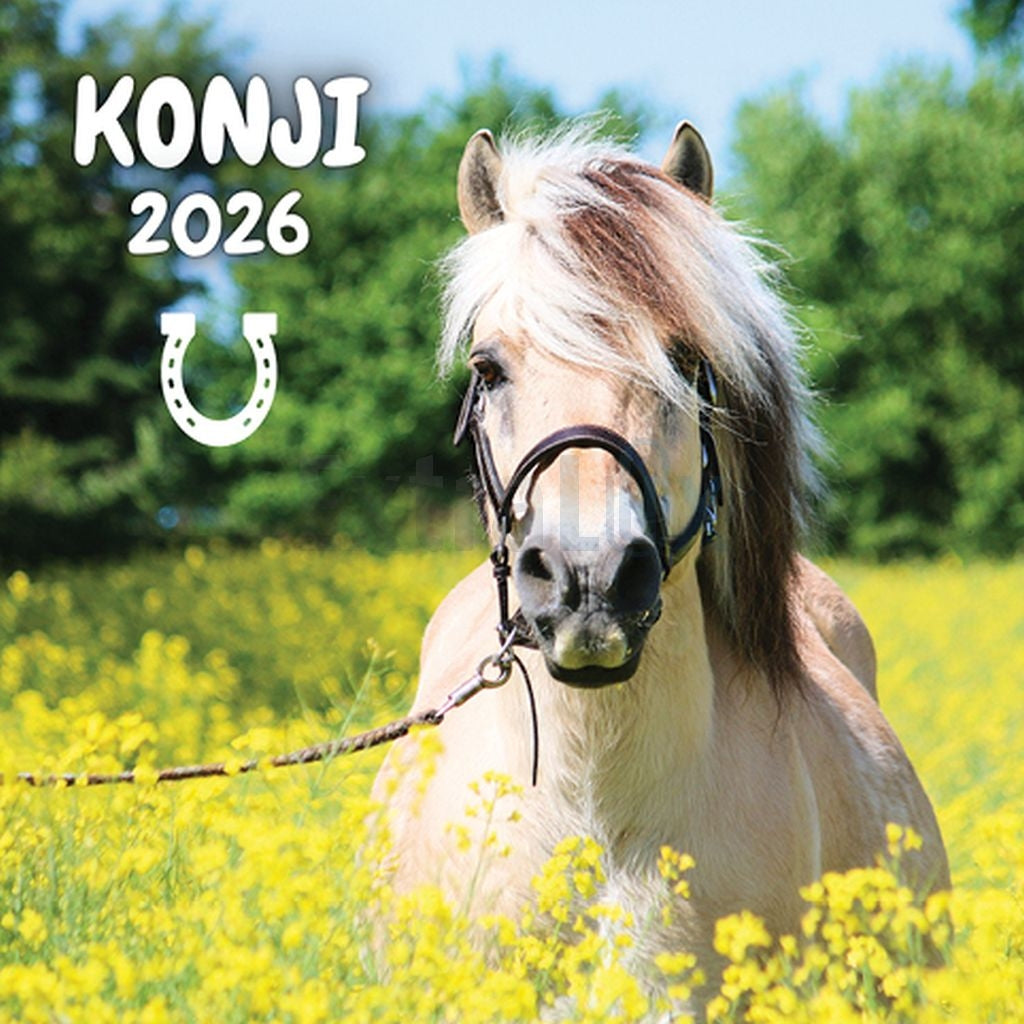 Koledar Konji 2026 (83638)