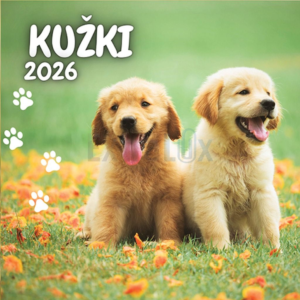 Koledar Kužki 2026 (85754)