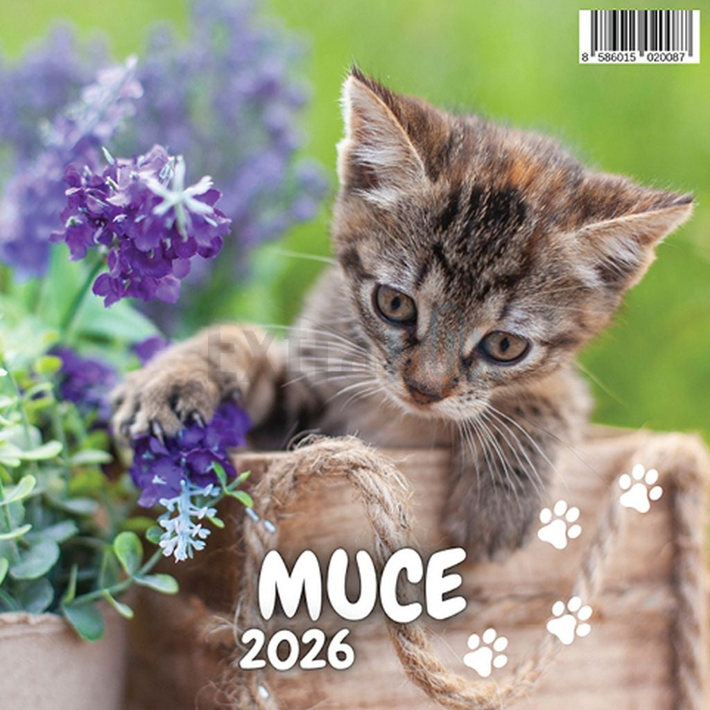 Koledar Muce 2026