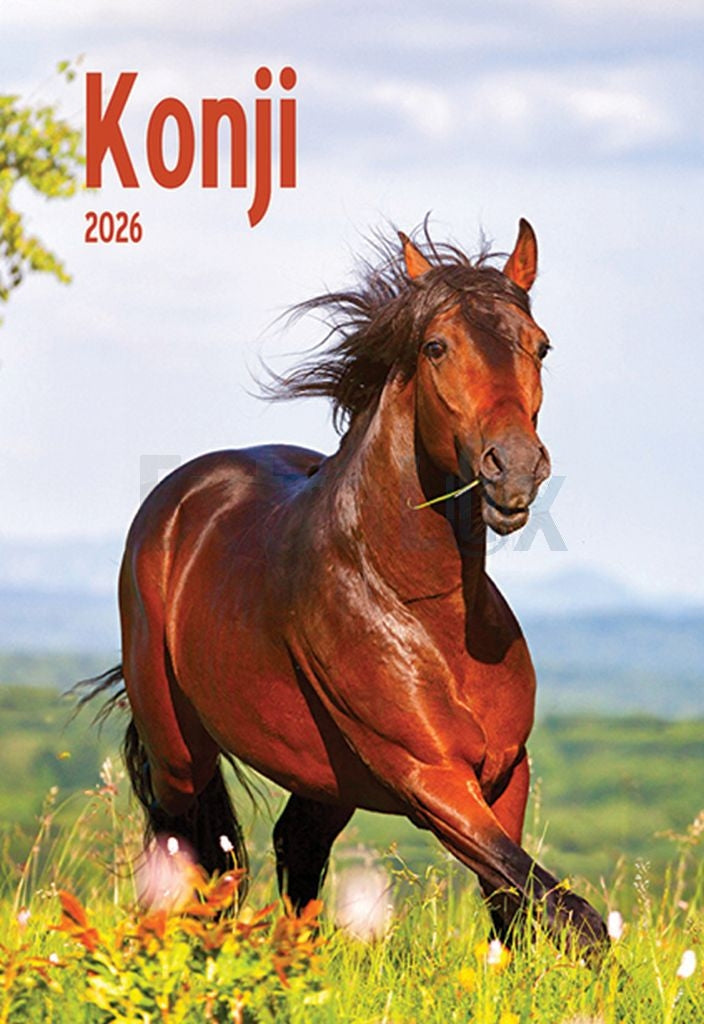 Koledar Konji 2026 (A015718)