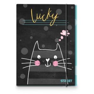Mapa z elastiko Street My Cat A4 1cm