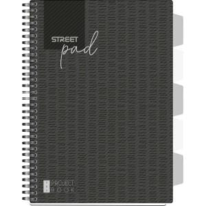 Zvezek špirala s.pad A5 črtast 100l pregrade