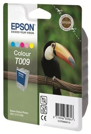 Črnilo Epson T009 C13T00940110 barvna