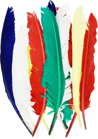 Indijanska peresa 20-30cm mešana 10/1