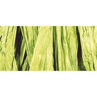 Rafija, 50g, svetlo zelena
