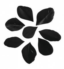 Perje, rezano, črno, 5-6cm 36/1