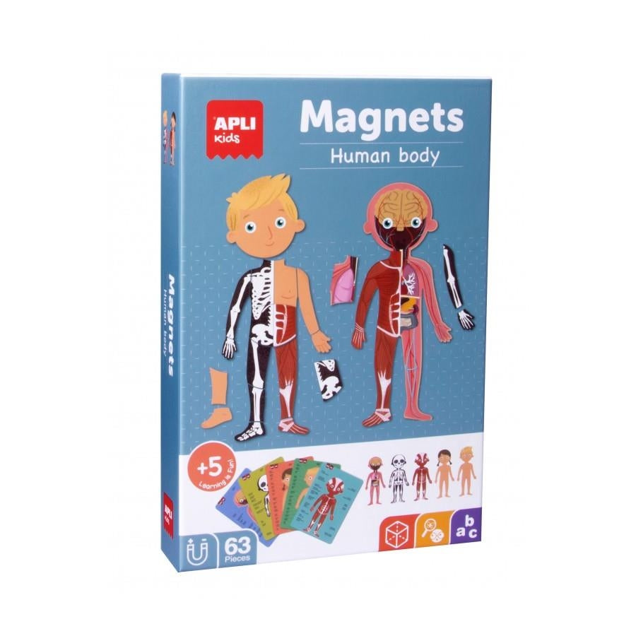 Komplet magneti človeško telo