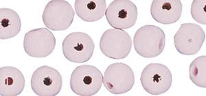 Perle lesene 10mm sv.roza, 52/1