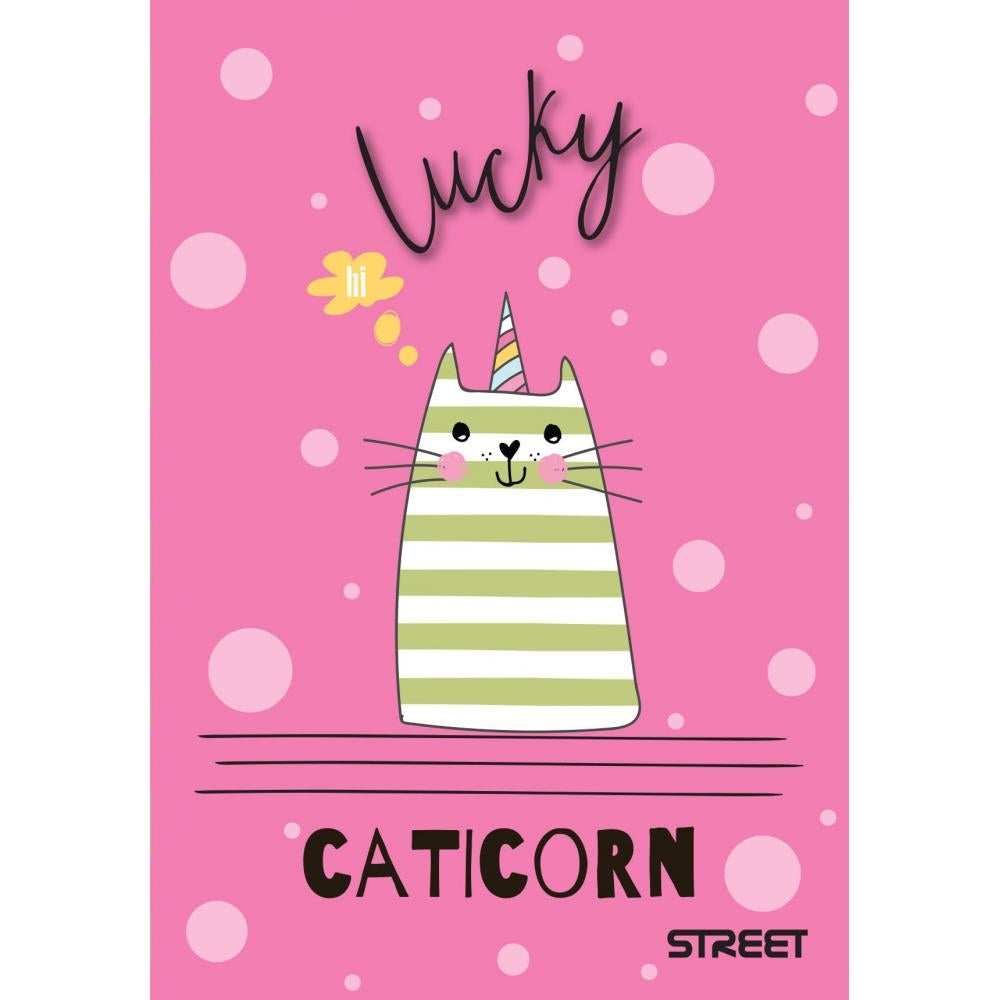 Beležka street my cat A6 črte