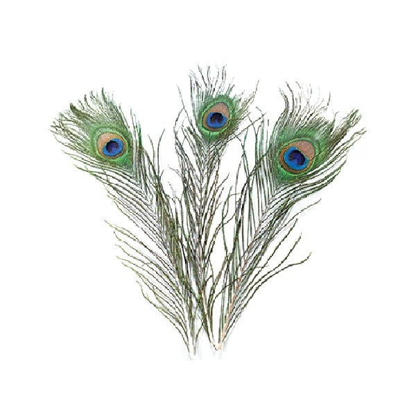 Pavova peresa, 20-30cm 5/1