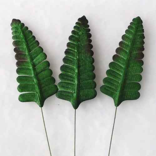 LISTI SET, 7 KOM, FERN